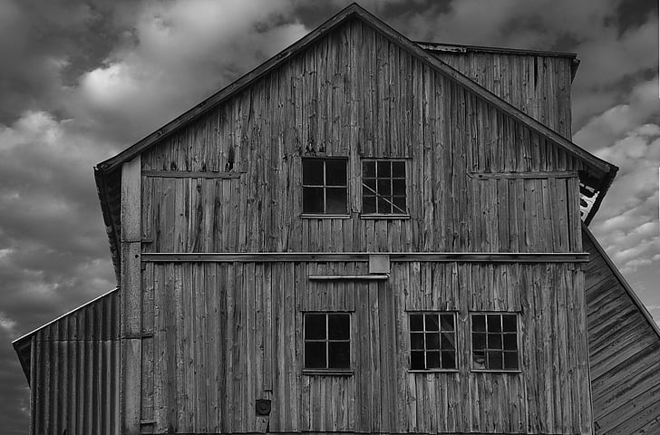 greyscale photo of wooden house