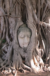 Gautama Buddha head figurine under tree