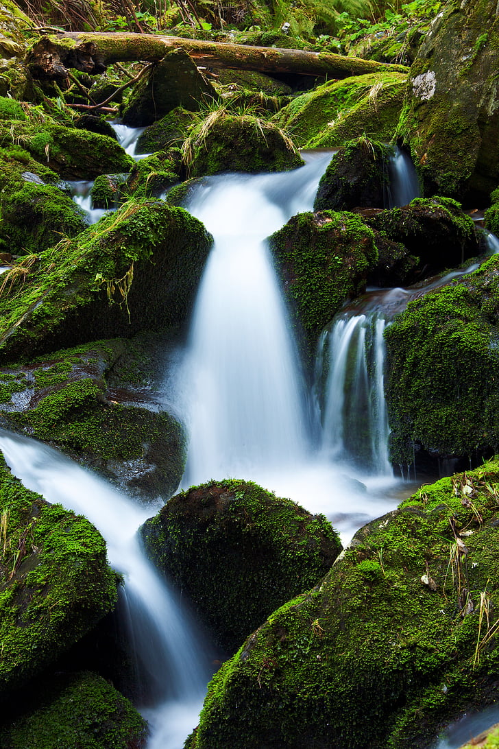 waterfalls on green rocks