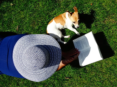 high angle view of person reading book beside dog on green grass