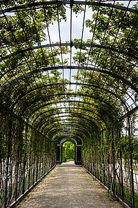 black metal tunnel under green leafed trees