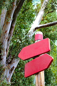 red road sign under tree at daytime