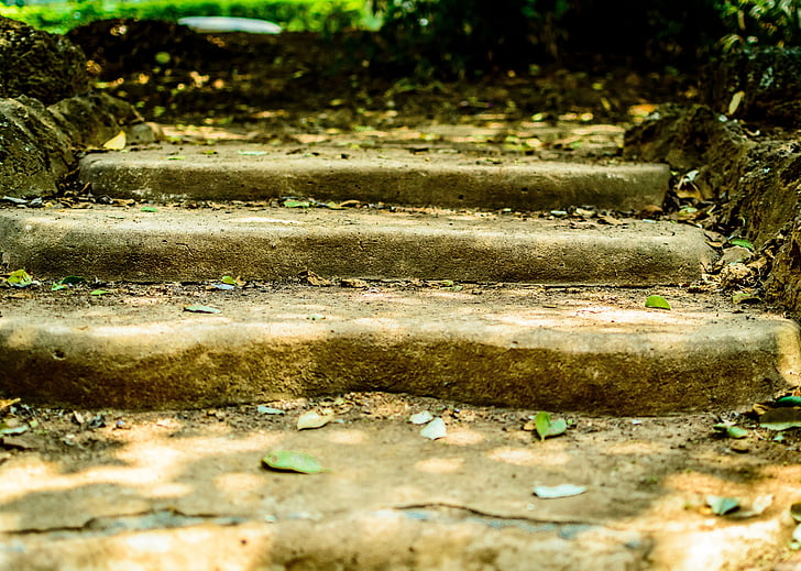 close up photography of stair with dried leaves