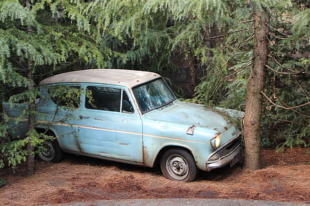 vintage blue vehicle between two trees