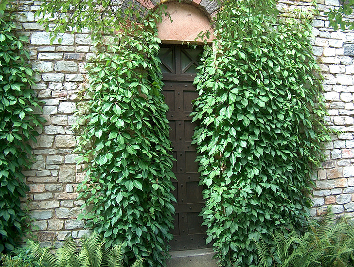 door between plants