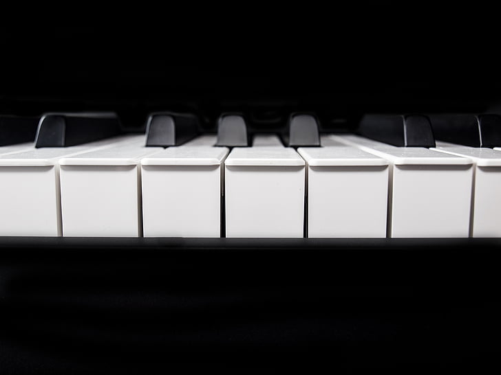 closeup photo of piano keys