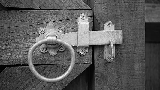 grayscale photo of dead bolt
