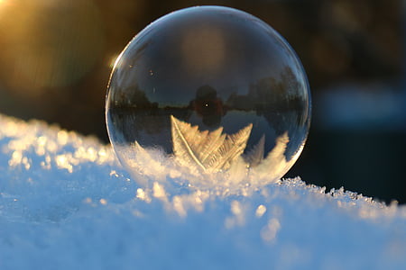 macro photography of bubble