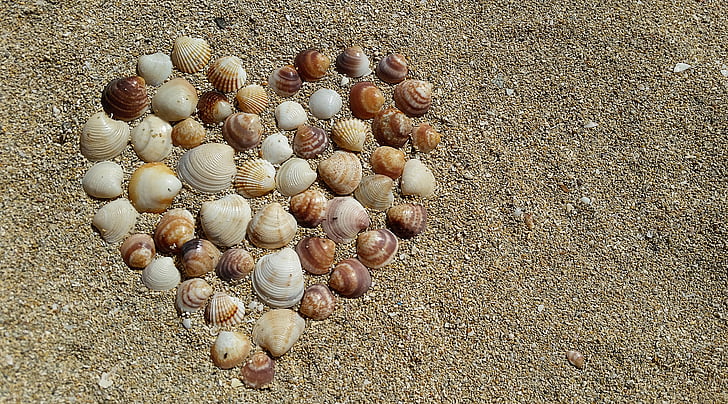 seashell form with a heart at the sand