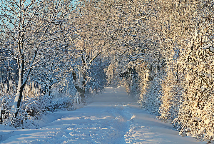 white snow on pathway at daytime