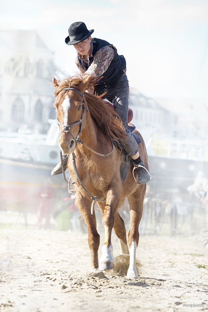 cowboy riding brown horse