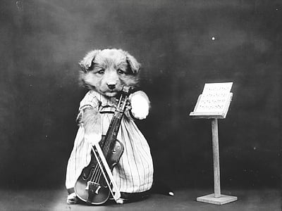 grayscale photo of dog holds violin near music stand