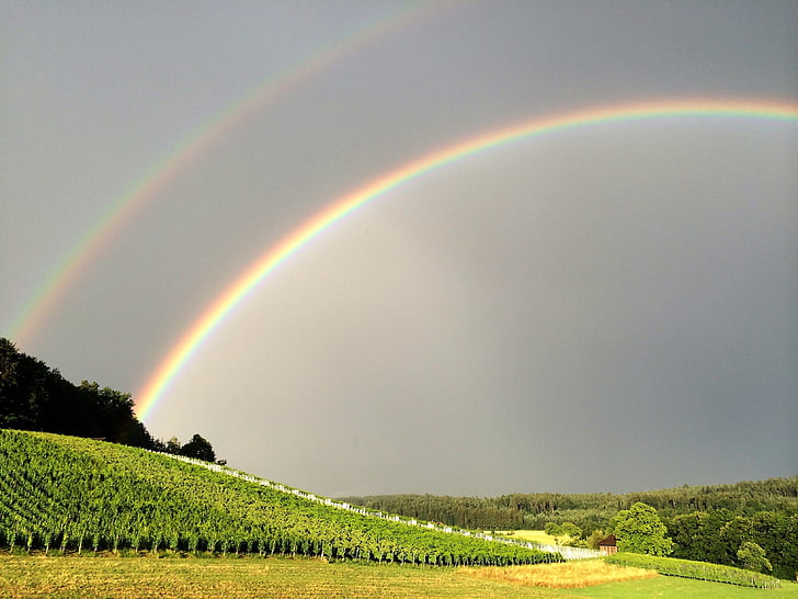 portrait photography of rainbow over grass field during daytime