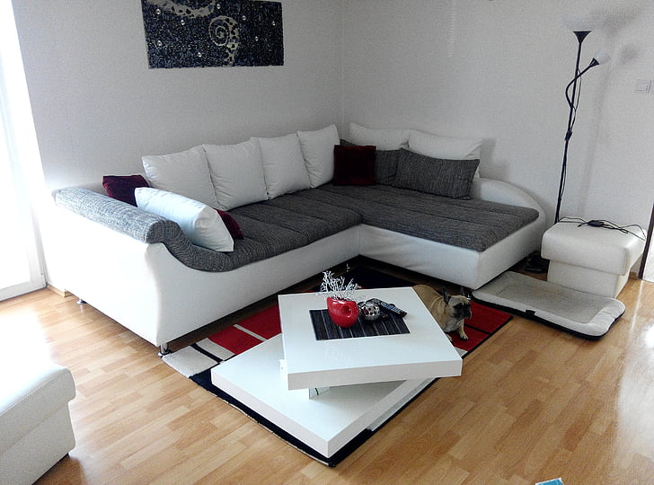 vacant white and brown sectional sofa in the room