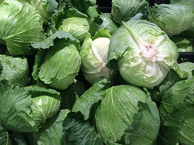 cabbage lot