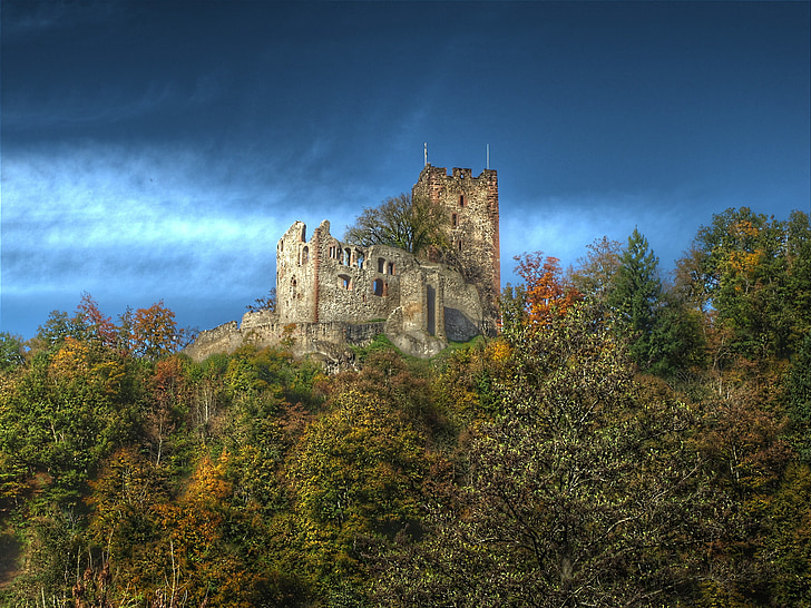 gray castle surrounded with green trees
