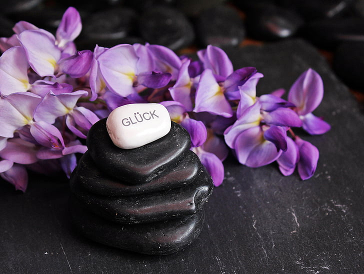 stack of black and white pebbles beside purple petaled flowers