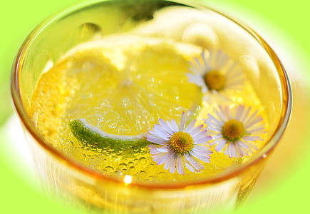 closeup photo of white liquid with white flower and lemon slice