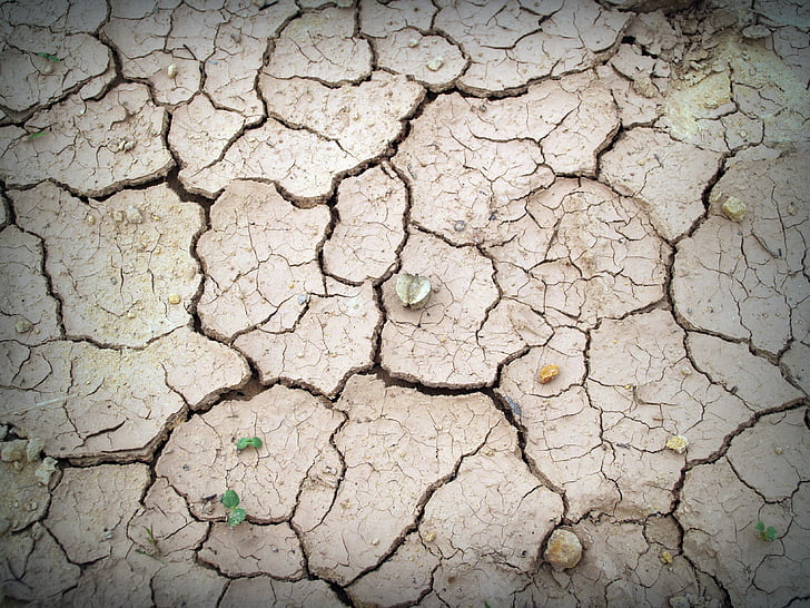photo of dried soil
