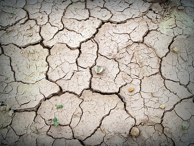 photo of dried soil