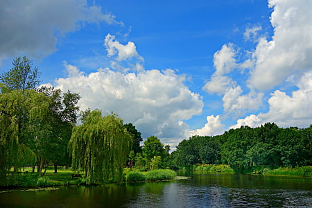 river beside green trees under blue sky