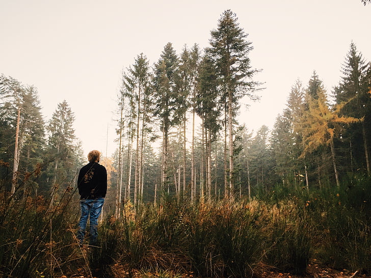 man standing facing forest trees