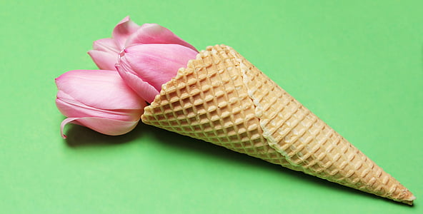 three pink tulip flowers on brown ice cream cone