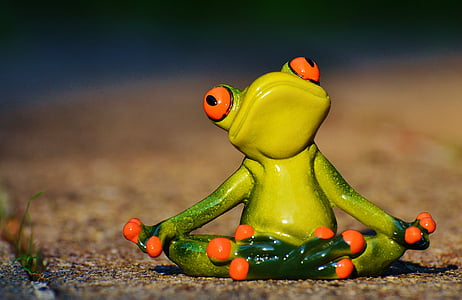 close-up photography of meditating frog ceramic figurine