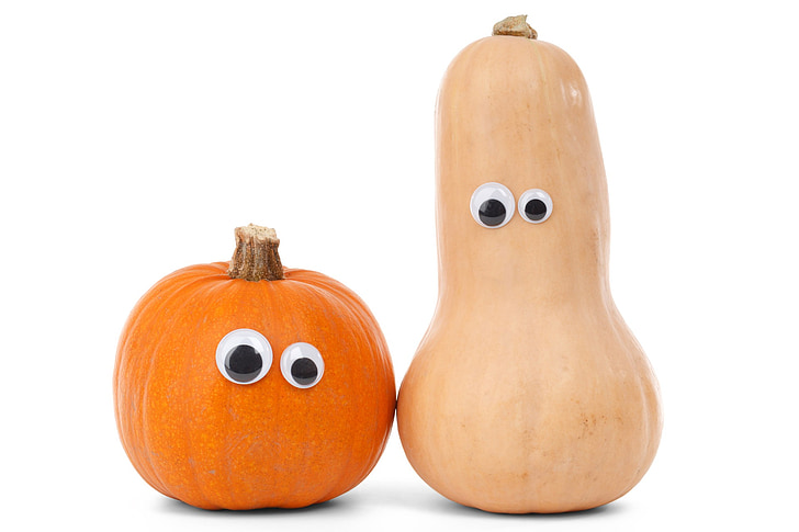 two squash and gourd toys