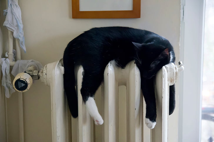 black and white cat lying on white oil heater