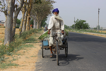 man riding bicycle on road beside tree