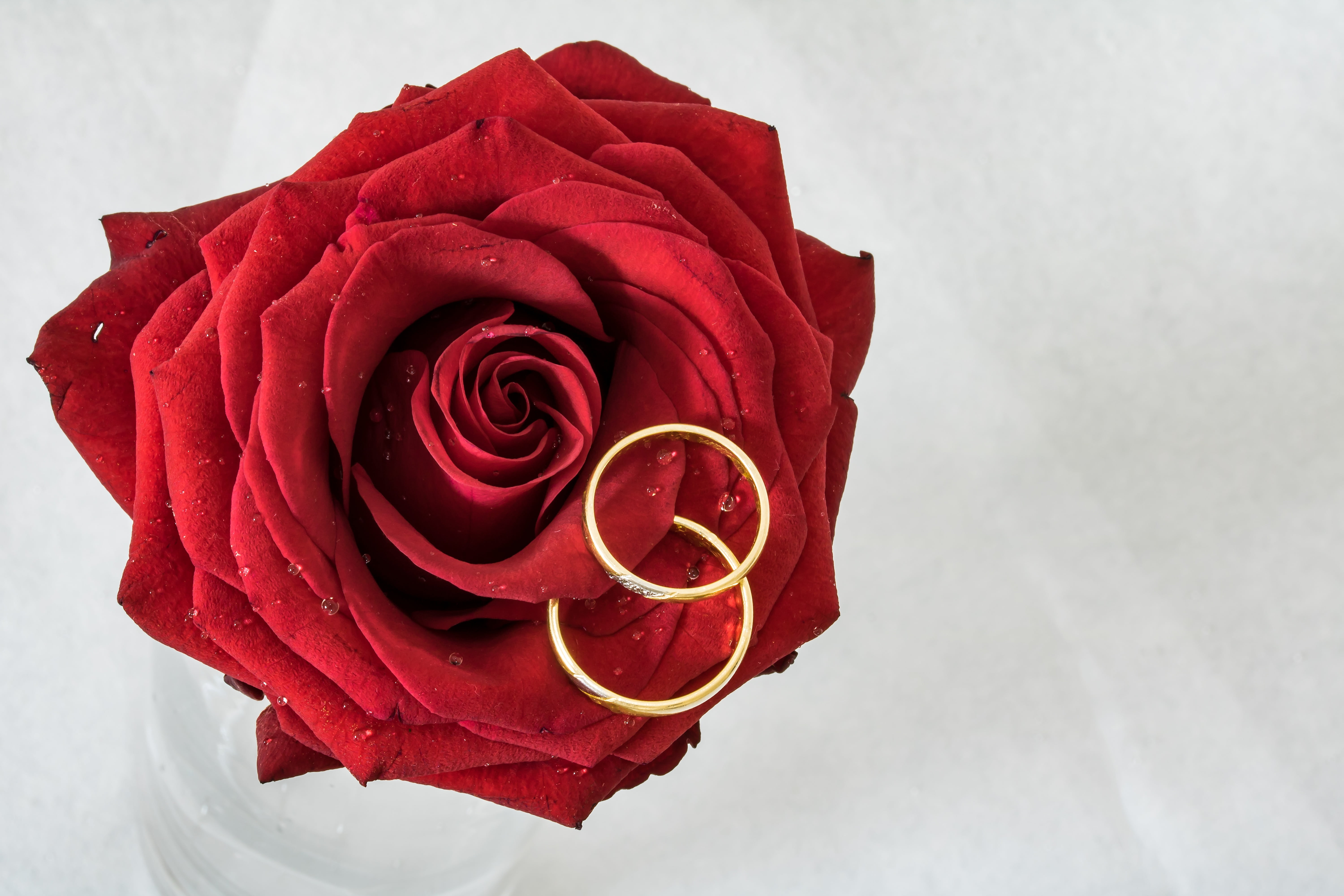Propose Day special Red Rose Ring Pop Up Card – The Craft Gallery