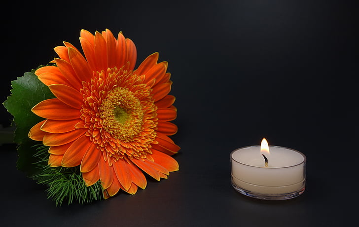 sunflower beside lighted white tealight candle