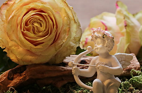 cherub figurine behind yellow petaled flower