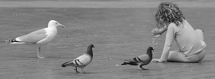 grayscale photo of birds near toddler