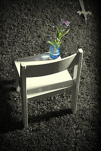 green plant in glass vase on chair