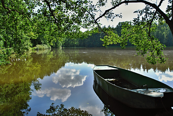 gray boat on body of water near tree