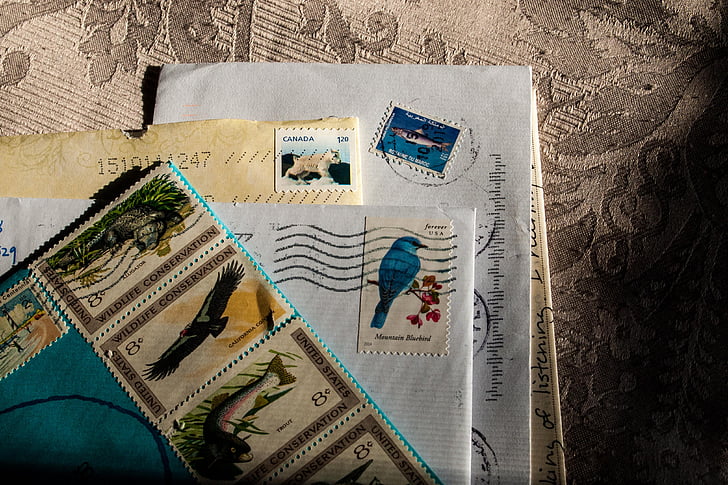 assorted animal-print postage stamps