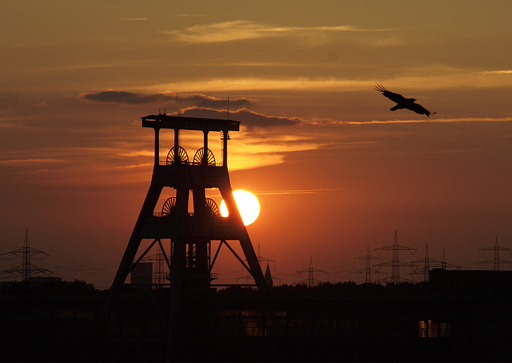 silhouette of mill and eagle gliding