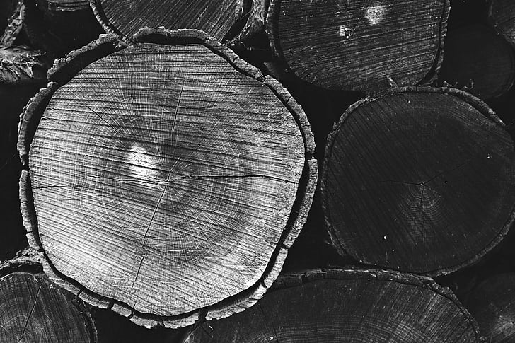 grayscale photography of wood slab
