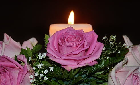 pink roses and white candle