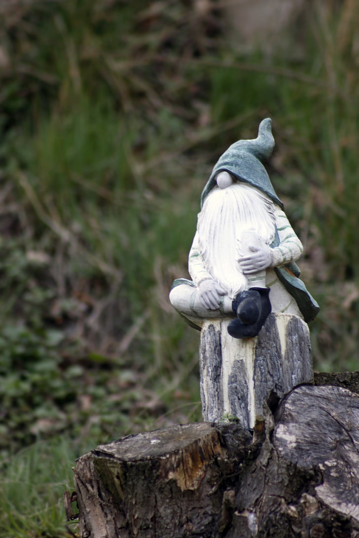 macro shot of gnome figurine on tree log