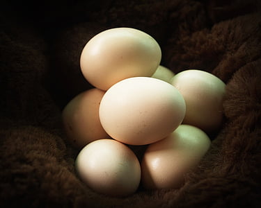 selective focus of beige eggs on brown textile