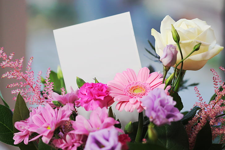 selective focus photography of pink daisies, pink carnation flowers, purple and white rose flowers bouquet