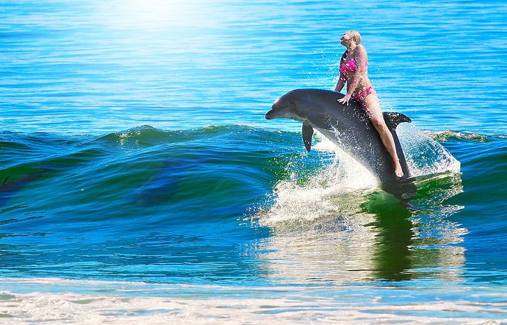 woman riding on dolphin