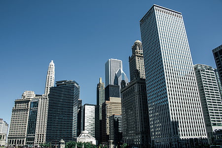 photo of city building