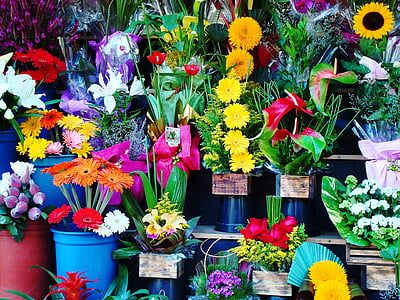 assorted-color flower arrangements in closeup photo