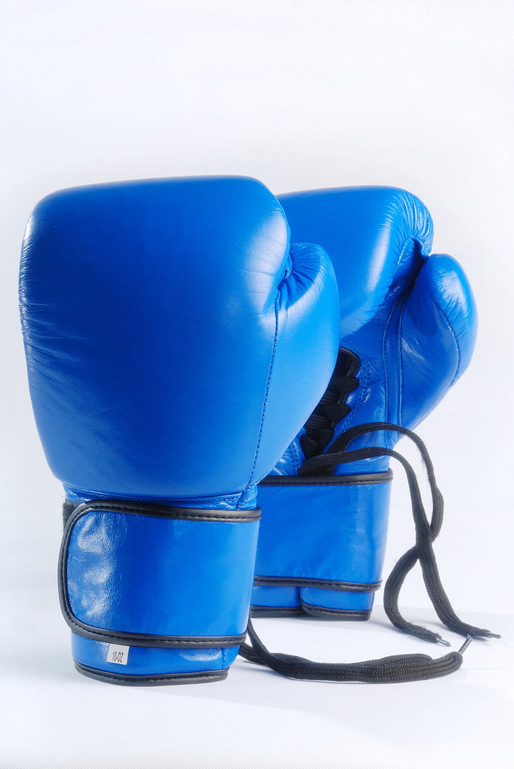pair of blue boxing gloves