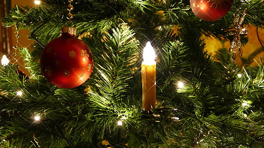 lit up candle on Christmas tree