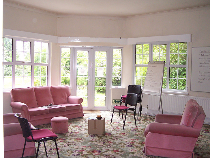 pink sofa chair and 3-seat sofa in house